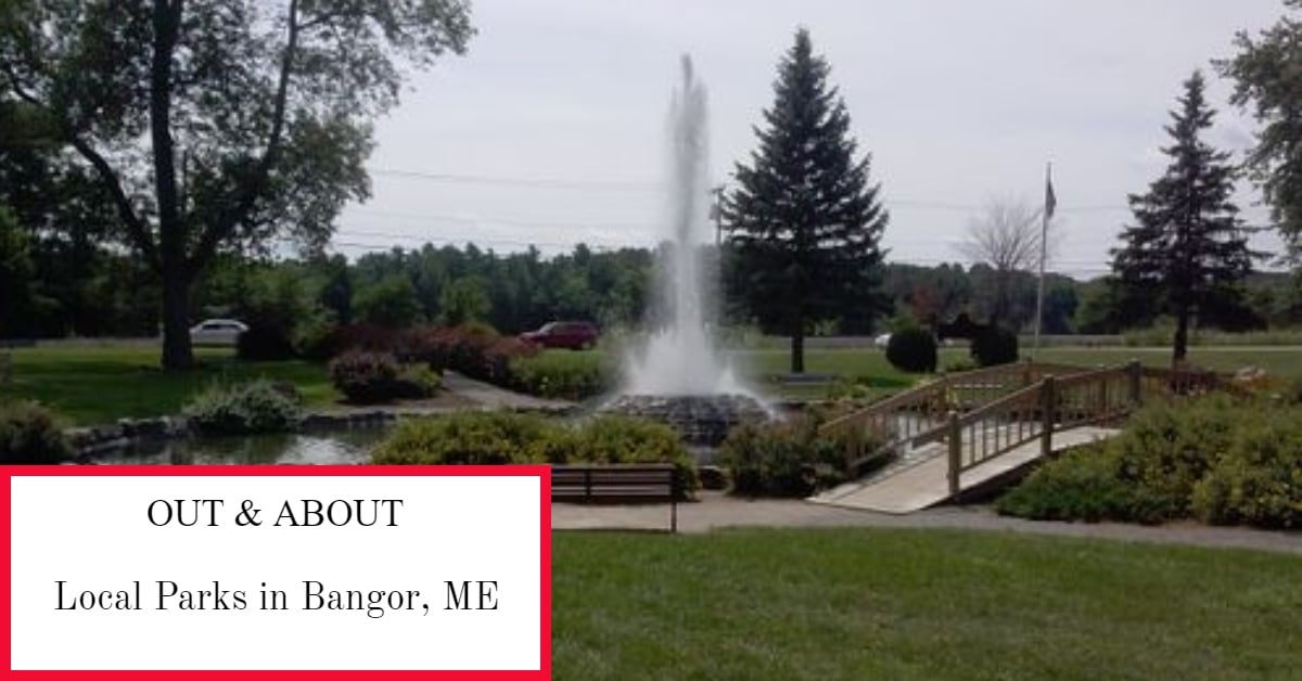 Cascade Park Water Fountain 